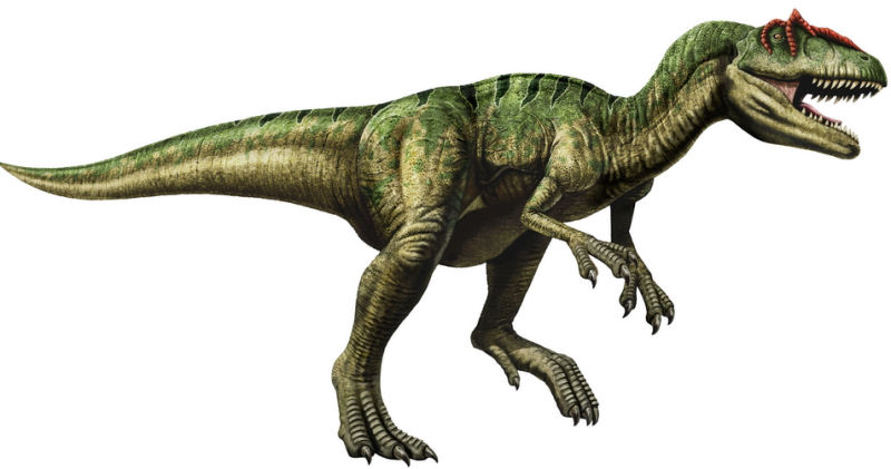 immagine di Allosaurus