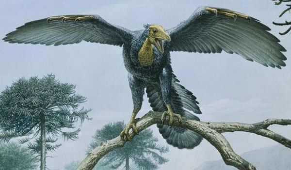 immagine di archaeopteryx