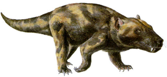 immagine di Cynognathus