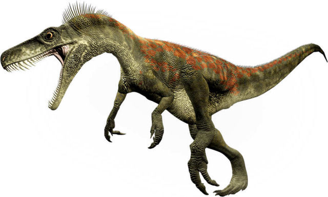 immagine di Herrerasaurus