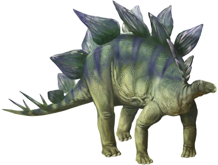 immagine di Stegosaurus