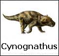 Cynognathus - dinosauro carnivoro del Triassico