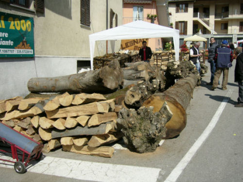 festa del legno