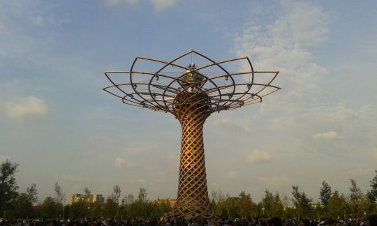 albero vita expo