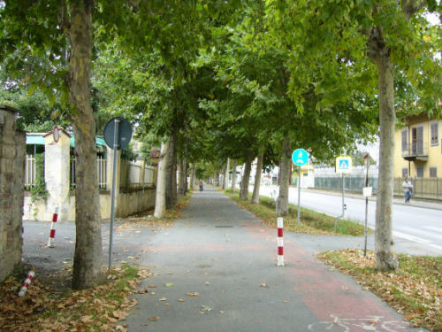 viale autunno