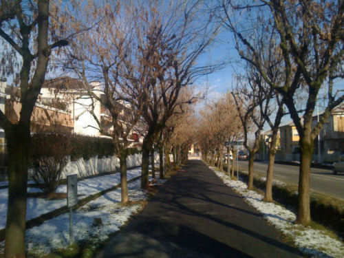 passeggiata viale inverno