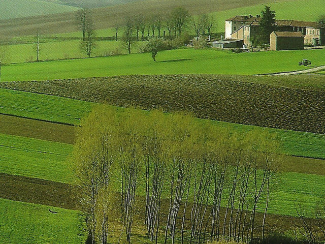 monferrato dei gonzaga