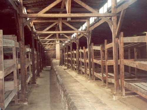 birkenau dormitorio