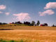 Campo grano Norvegia - Viaggio al Nord - Zoom immagine