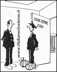 Vignette Mestieri - Addetto Zoo